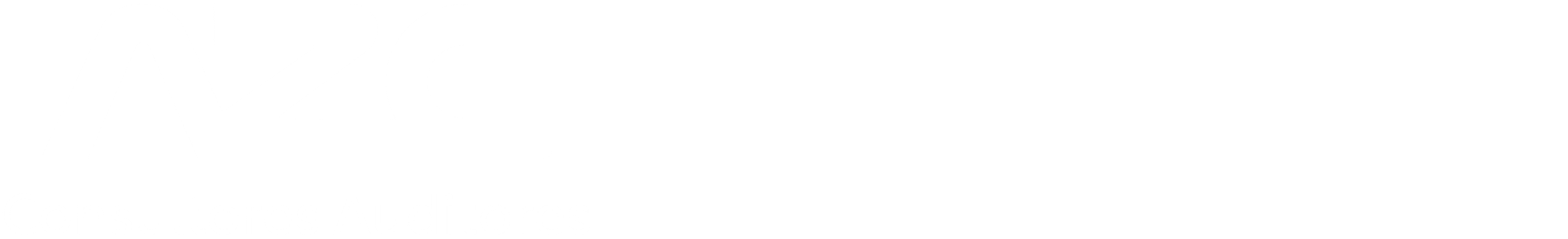 AZG Consultores Auditores — partner internacional Baker Tilly