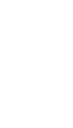 Gobierno Regional del Biobío